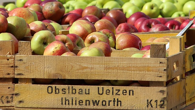 Apfelsorten für Apfelmus - z.B. Boskoop