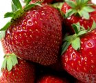 Frische Erdbeeren einfrieren - ob als ganze Beere oder als Püree - so geht´s richtig