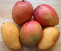 Wann ist eine Mango reif? Mit dem Reifetest eine saftig süße Mango erkennen
