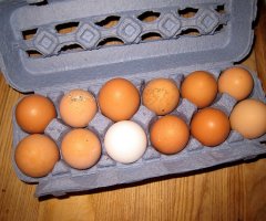 Eierlikör mit frischen Eiern im Thermomix selber machen - ganz einfach und unglaublich lecker