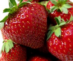 Frische Erdbeeren einfrieren - ob als ganze Beere oder als Püree - so geht´s richtig
